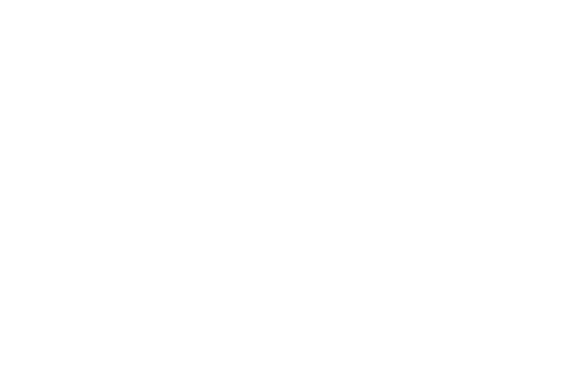 The Day Rave